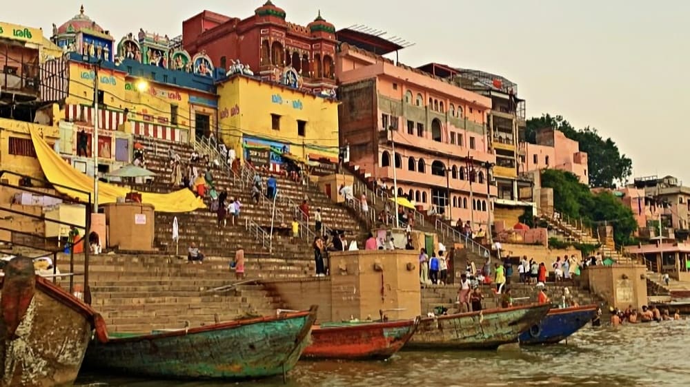 3.インドのMBTIの割合の傾向